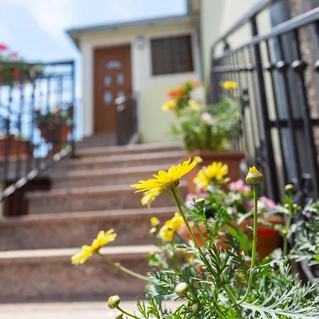 Mira Silo-krk * Šilo