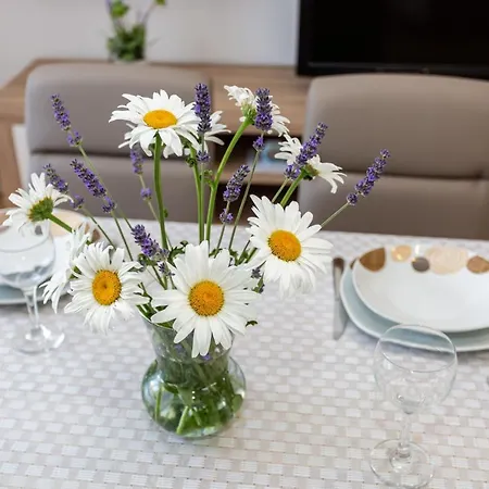 Mira Silo-krk Apartament