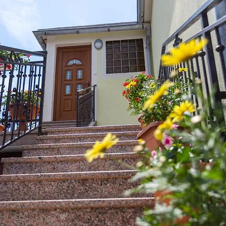 Mira Silo-krk * Šilo