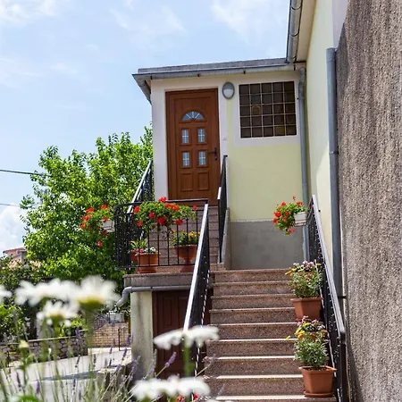 Mira Silo-krk * Šilo